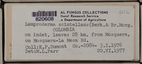 Image Associated With the Occurence